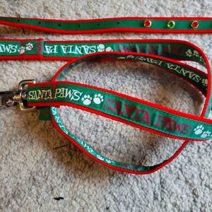 Dog Holiday Swag! Leash and Light up Collar